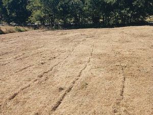 Terrain constructible viabilisé