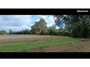 Terrain constructible