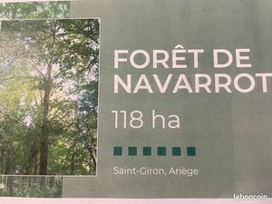 Foret
