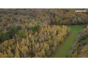 Terrain boisé 8 330m2 - Ailly sur Noye (80250)
