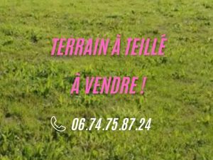 Terrain 313 m² Teille