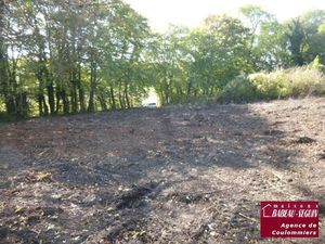 Vente terrain 1909 m² à Amillis (77120)  85 000 €