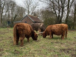 Recherche prairies à louer