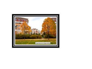 Location appartement 3 pièces 54 m² à Villeneuve-la-Garenne (92390)