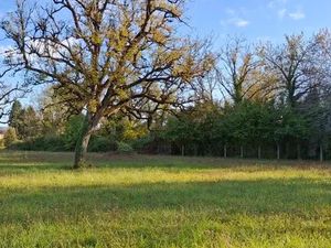 Vente terrain 3076 m² à Puybrun (46130)  37 000 €