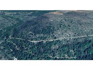 Grand terrain boisé de 4 8 hectares