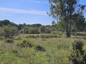 Vente terrain 628 m² à Puget-sur-Argens (83480)  270 000 €