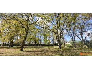 Terrain de Loisirs en Bord de Mer avec Potentiel Touristique