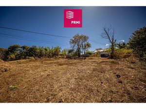 PRMI TAN ROUGE SAINT PAUL : Terrain d'environ 600 m² à 685 M d altitude