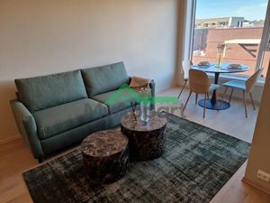 Location meublée appartement 1 pièce 45 m² à Mareuil-lès-Meaux (77100)  550 €