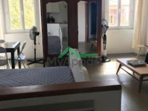 Location meublée appartement 1 pièce 33 m² à Azilone-Ampaza (20190)  600 €