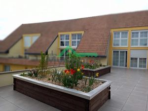 Location meublée appartement 3 pièces 140 m² à Eckwersheim (67550)  1 400 €