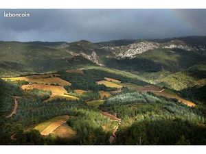 Terrain 456 m² Citou