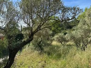 Vente terrain 1200 m² à Carnoules (83660)  130 000 €