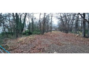 Vente terrain 717 m² à Trans-en-Provence (83720)  139 000 €