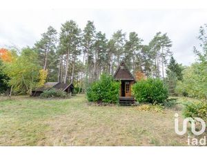 Vente maison 3 pièces 54 m² Ouzouer-sur-Loire (45570)