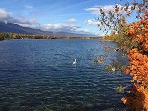 Vente appartement 3 pièces 65 m² à Ambilly (74100)  344 700 €