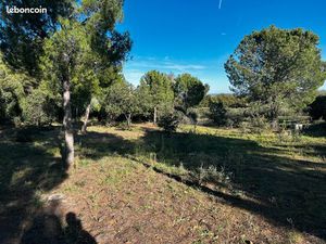 Hors lotissement: Terrain constructible 900 m² – Montesquieu-des-Albères