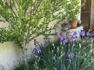 Location appartement 2 pièces 25 m² à Évry-Courcouronnes (91080)