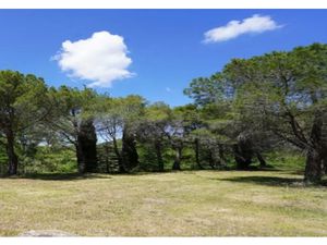 Vente terrain 880 m² à Villeneuve-les-Corbières (11360)  25 000 €