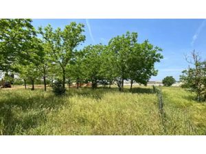 Vente terrain 760 m² à Villegailhenc (11600)  79 000 €