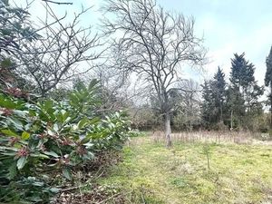 Vente terrain 770 m² à Bram (11150)  69 000 €