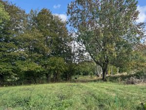 Vente terrain 533 m² à Ronchin (59790)  195 000 €