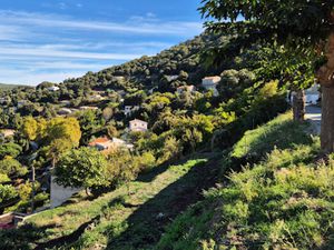 Vente terrain à batir à Sollacaro (20140)  140 000 €