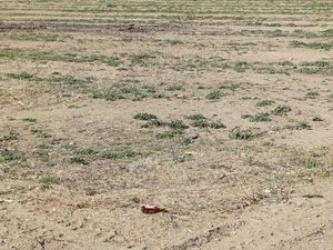 Vente terrain 208 m² à Saint-andre (66690)  96 900 €