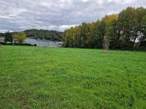 Terrasson Immobilier