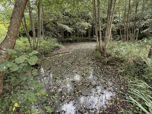 Vente Terrain 5 457 m²