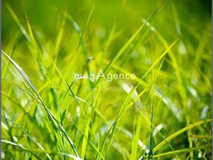 Terrain constructible 535m2