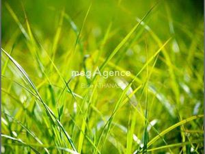 Vente Terrain à Saint-Christophe-des-Bois (35210) : à vendre / 535m² Saint-Christophe-des-