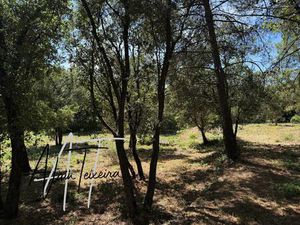 Centre ville à pied!