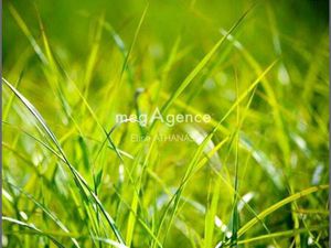 Terrain constructible viabilisé à vendre