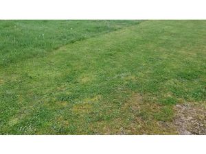 Vente terrain 620 m² à Saint-Quentin-de-Baron (33750)  99 000 €