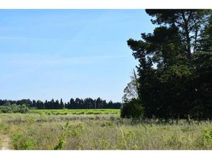 Vente terrain 455 m² à Domazan (30390)  121 500 €