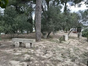 Vente terrain 459 m² à Bouzigues (34140)  199 000 €