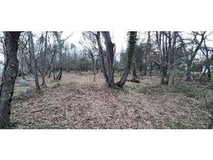 Vente terrain 699 m² à Trans-en-Provence (83720)  139 000 €