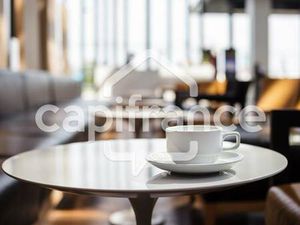 VITANI Alexandre Capifrance