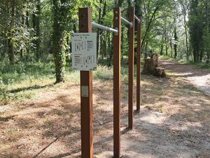 Parcelles pour Mobil home ou chalet en pleine propriété