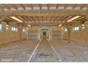 Local d'activité 563 m²