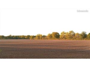 Terrain 810000 m² JEU LES BOIS