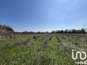 Terrain 11765 m² Codolet
