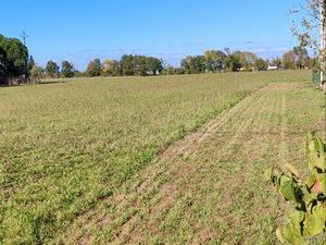 Location terres agricoles Vivy