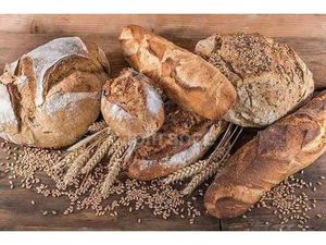 LOISON Isabelle Capifrance