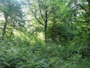 Terrain agricole Capbreton