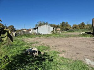 Annonce vente terrain terrain de 740m2 à Saint-sauveur (33250) - ParuVendu.fr ref 99278307