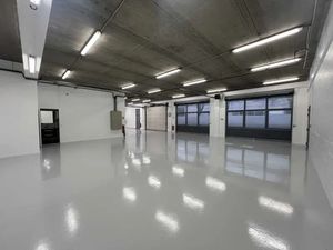Locaux professionnels activité ou stockage rénovés 212/394 m² - Zone Roissy Paris Nord 2 -