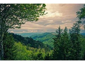 Mas à vendre - Neuf